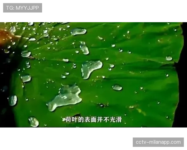 雨战中，皮球因场地积水多次发生不规则弹跳